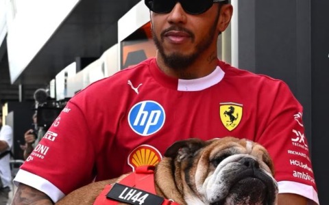 Lewis Hamilton annuncia la morte del suo cane Roscoe