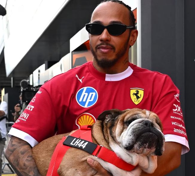 Lewis Hamilton annuncia la morte del suo cane Roscoe
