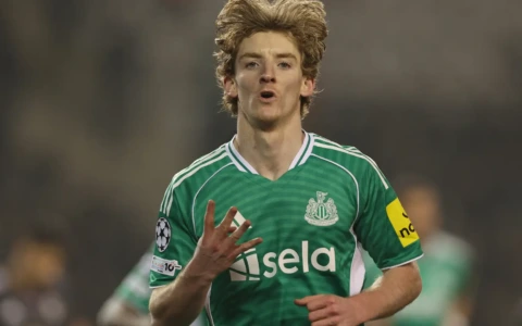 Champions League, i risultati: Atletico fermato, Gordon da paura