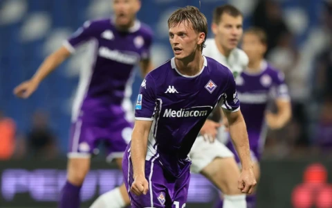 Fiorentina, le condizioni di Gudmundsson post Torino